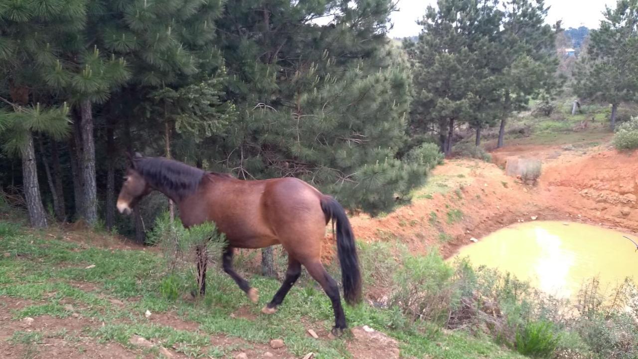 Chale Estancia Ouro Verde Lages Luaran gambar