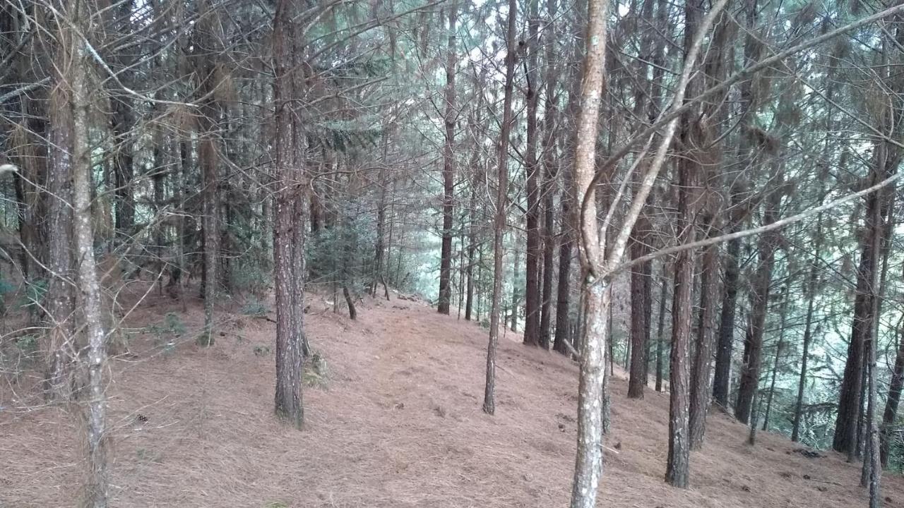Chale Estancia Ouro Verde Lages Luaran gambar
